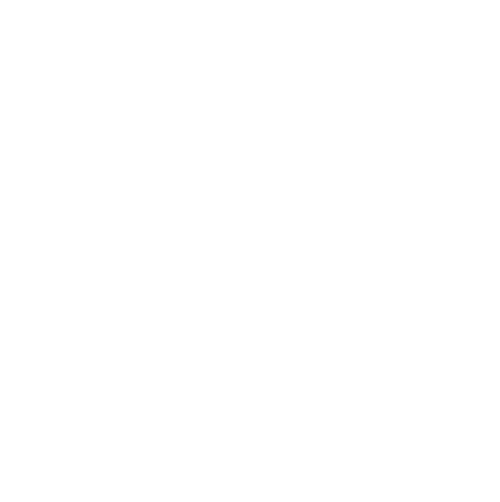 HOP Brothers Logo White